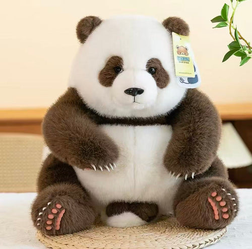 The Panda That Waits For You After A Long Day